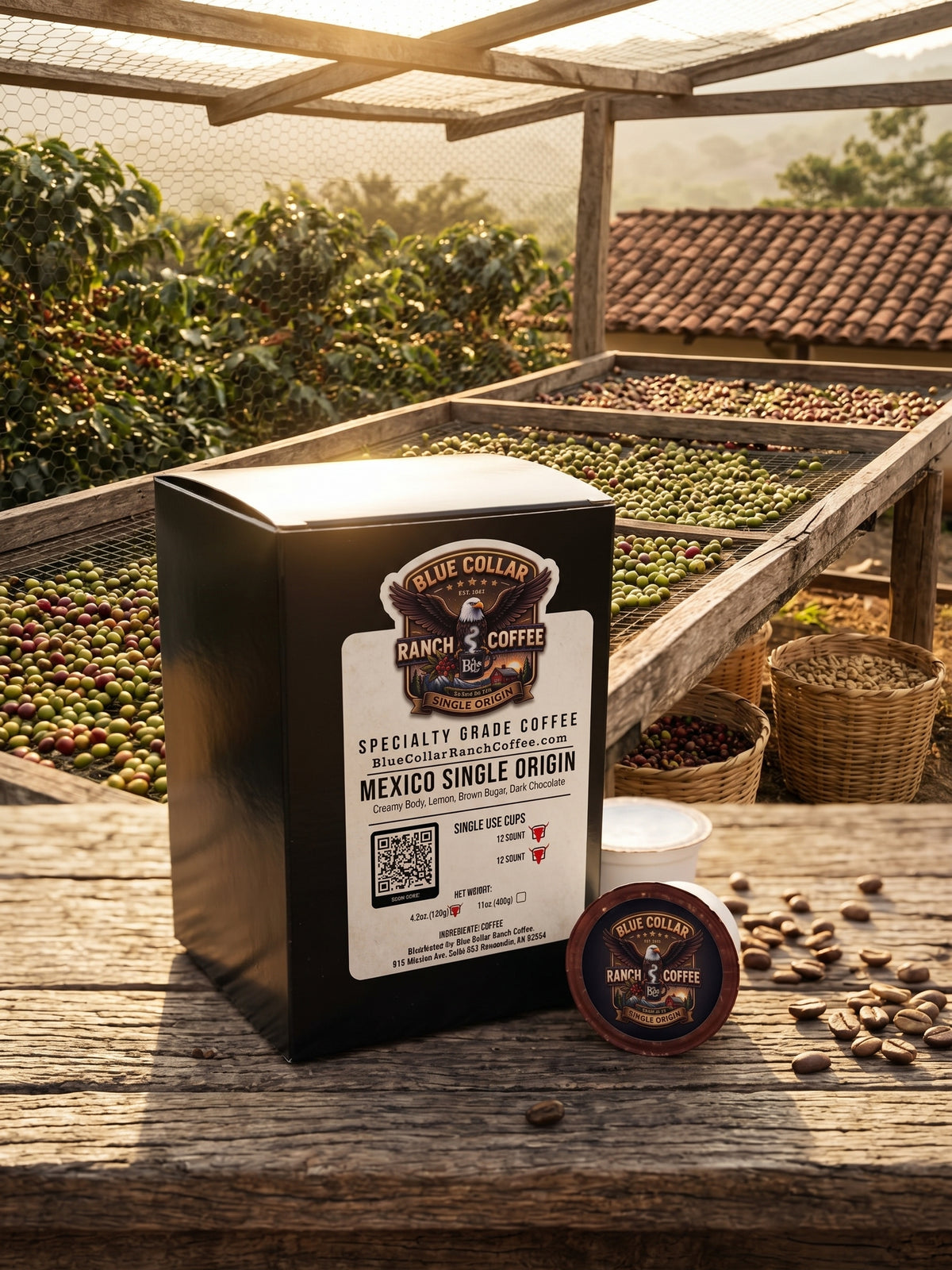 Mexico Single Origin (Single Use Cups)